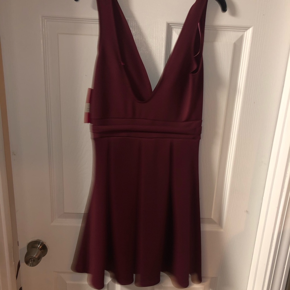 Plum skater 👗 Dress